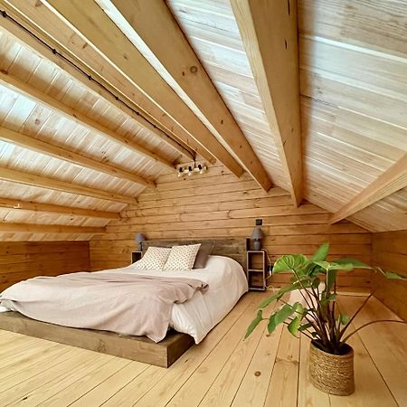 Mountain Eco Shelter 5 Hotel Funchal  Ngoại thất bức ảnh